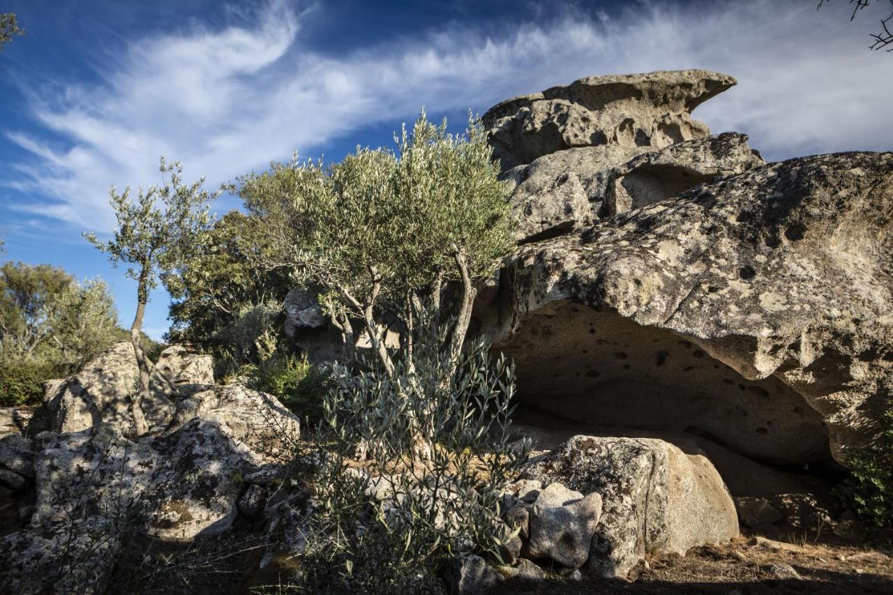Gallicantu Stazzo Retreat Luogosanto Exterior foto